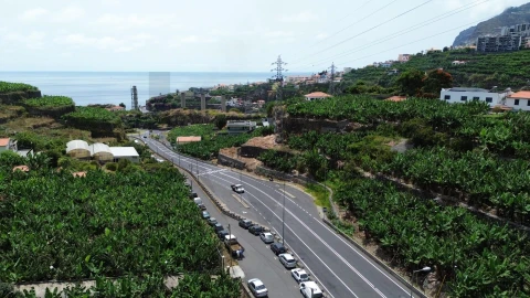 Terreno para Venda em São Martinho