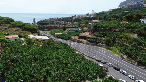 Terreno para Venda em São Martinho