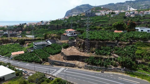 Terreno para Venda em São Martinho