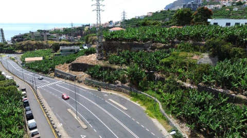 Terreno para Venda em São Martinho
