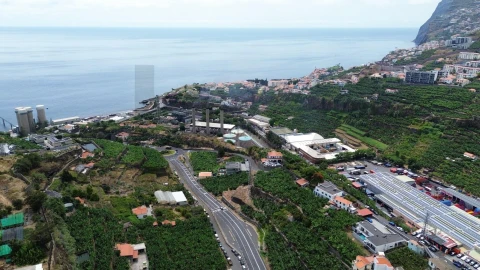 Terreno para Venda em São Martinho