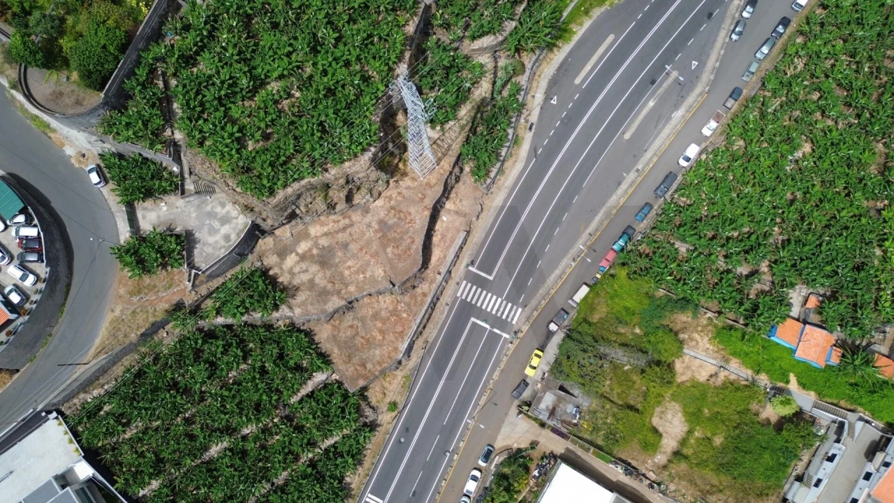 Terreno para Venda em São Martinho Foto 10