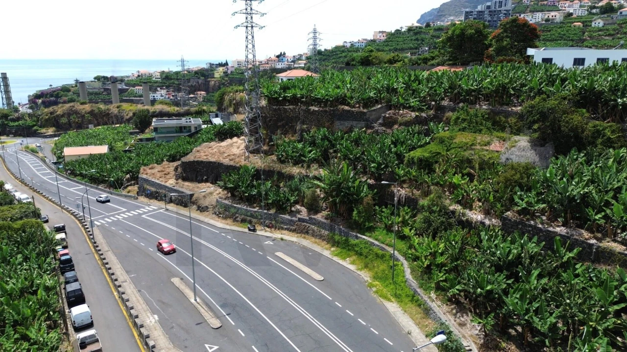 Terreno para Venda em São Martinho Foto 2