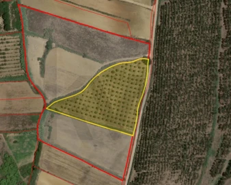 Terreno para Venda em Santa Barbara