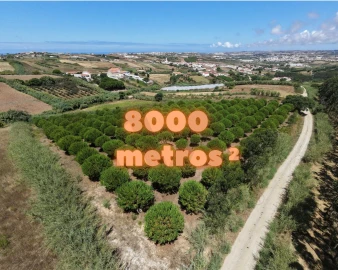 Terreno para Venda em Santa Barbara