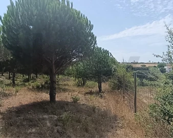Terreno para Venda em Santa Barbara