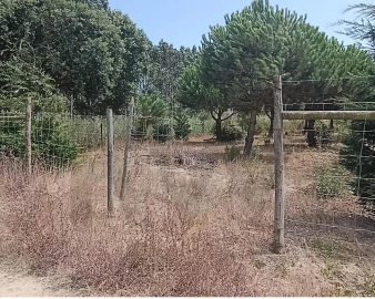Terreno para Venda em Santa Barbara