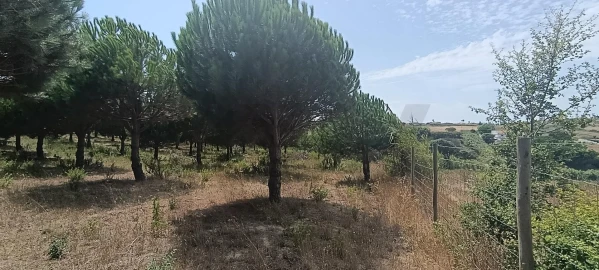 Terreno para Venda em Santa Barbara