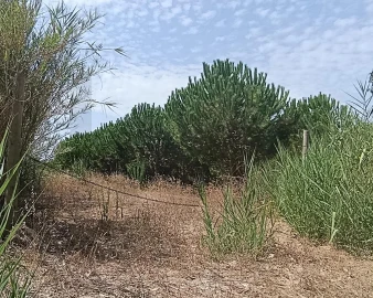 Terreno para Venda em Santa Barbara
