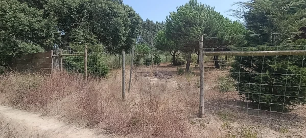 Terreno para Venda em Santa Barbara