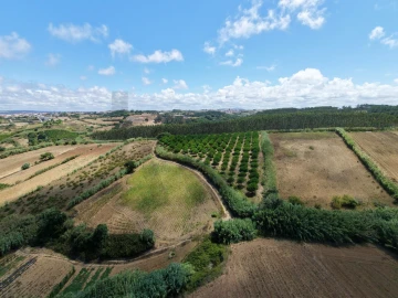 Terreno para Venda em Santa Barbara