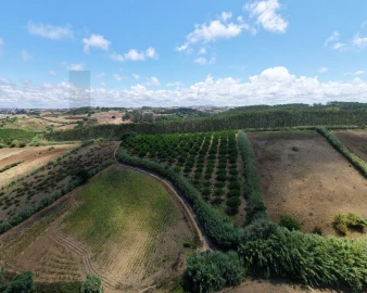 Terreno para Venda em Santa Barbara