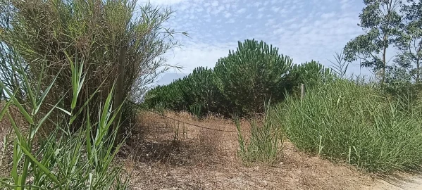 Terreno para Venda em Santa Barbara