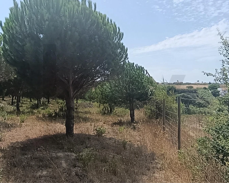 Terreno para Venda em Santa Barbara Foto 4