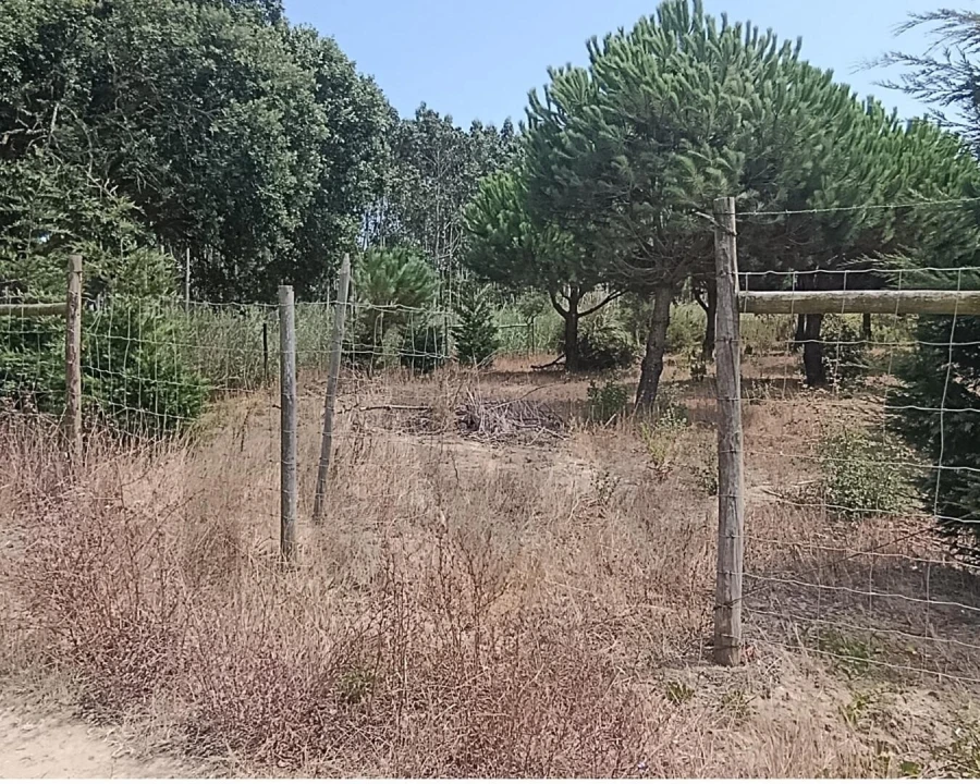 Terreno para Venda em Santa Barbara Foto 3