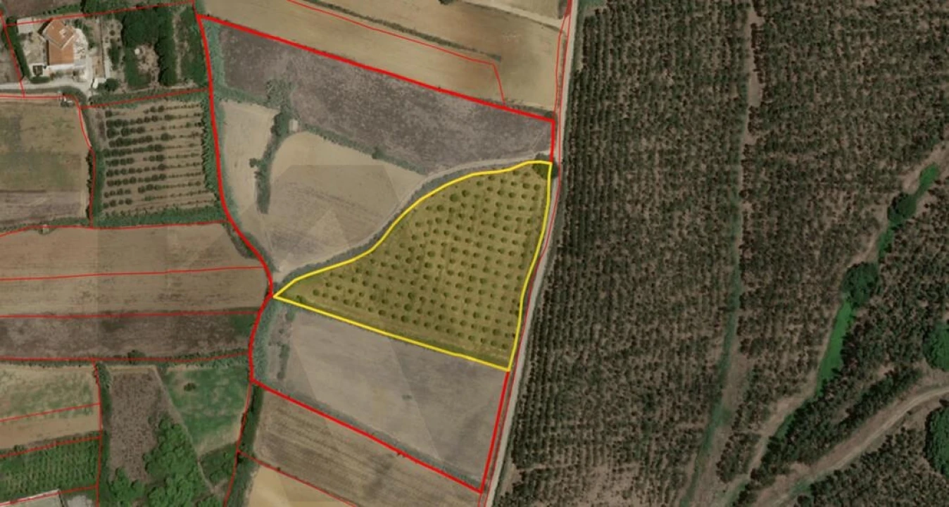 Terreno para Venda em Santa Barbara Foto 9