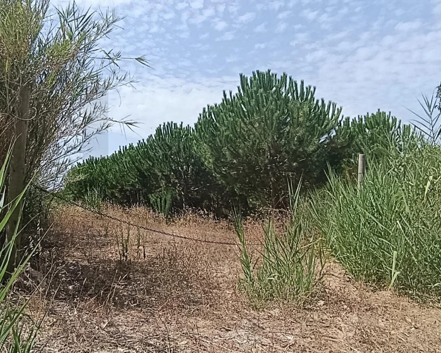 Terreno para Venda em Santa Barbara Foto 6