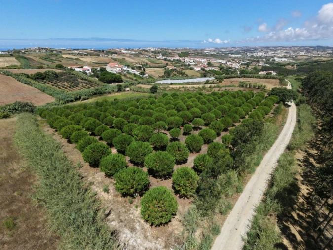 Terreno para Venda em Santa Barbara Foto 8