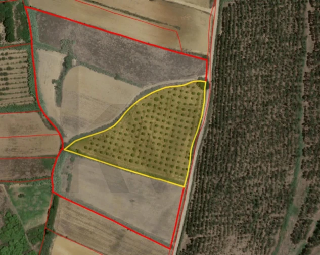 Terreno para Venda em Santa Barbara Foto 9
