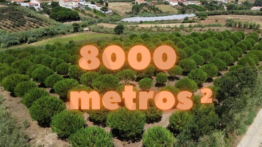 Terreno para Venda em Santa Barbara