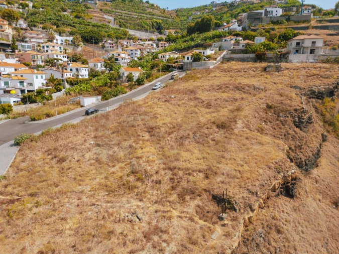 Terreno para Venda em São Martinho Foto 19