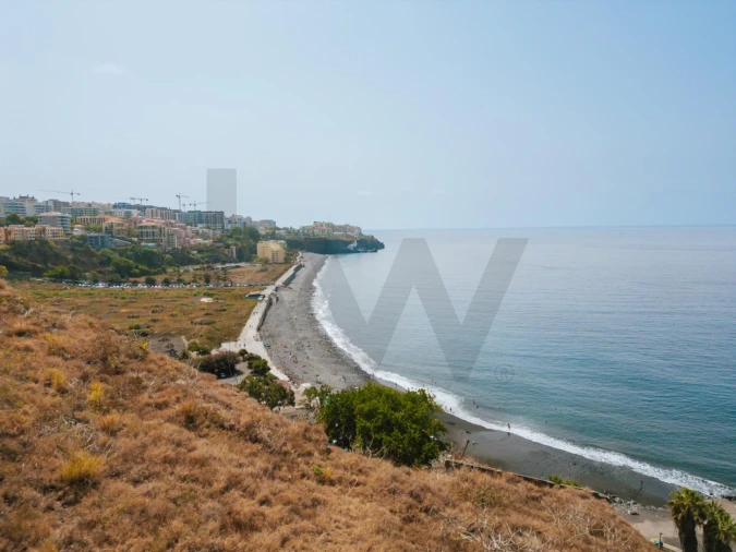 Terreno para Venda em São Martinho Foto 20