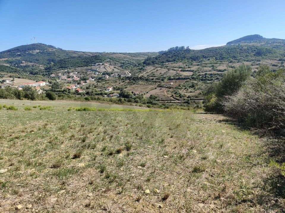 Terreno para Venda em Igreja Nova e Cheleiros Foto 13