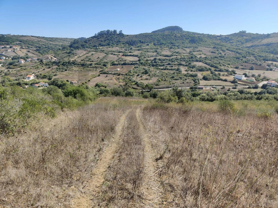 Terreno para Venda em Igreja Nova e Cheleiros Foto 3