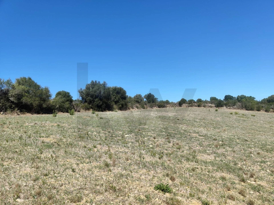 Terreno para Venda em Igreja Nova e Cheleiros Foto 11