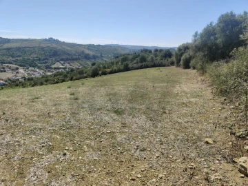 Terreno para Venda em Igreja Nova e Cheleiros