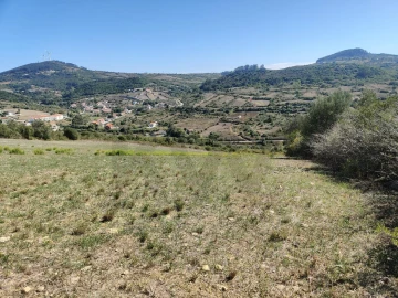 Terreno para Venda em Igreja Nova e Cheleiros