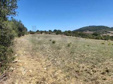 Terreno para Venda em Igreja Nova e Cheleiros