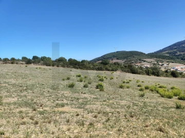 Terreno para Venda em Igreja Nova e Cheleiros