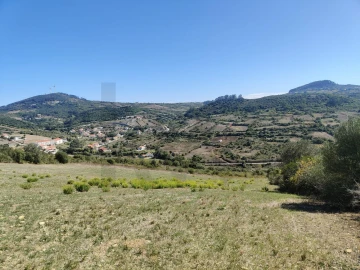 Terreno para Venda em Igreja Nova e Cheleiros