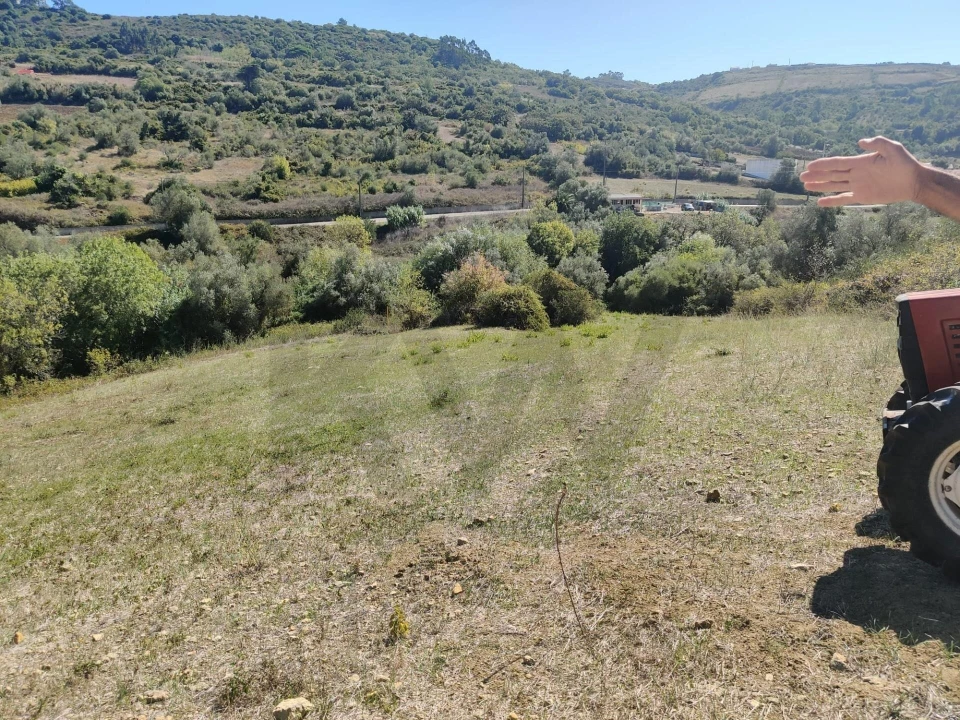 Terreno para Venda em Igreja Nova e Cheleiros Foto 5