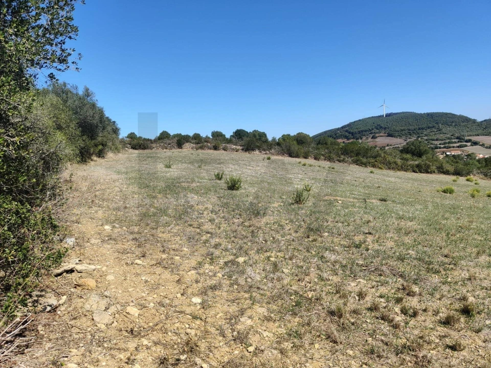 Terreno para Venda em Igreja Nova e Cheleiros Foto 16