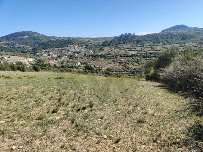 Terreno para Venda em Igreja Nova e Cheleiros Foto 13