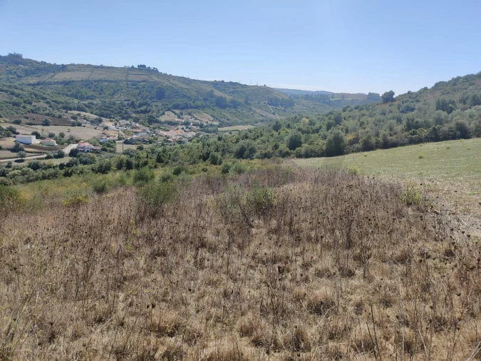 Terreno para Venda em Igreja Nova e Cheleiros Foto 2