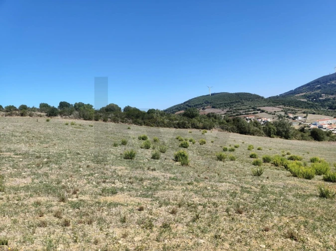 Terreno para Venda em Igreja Nova e Cheleiros Foto 10