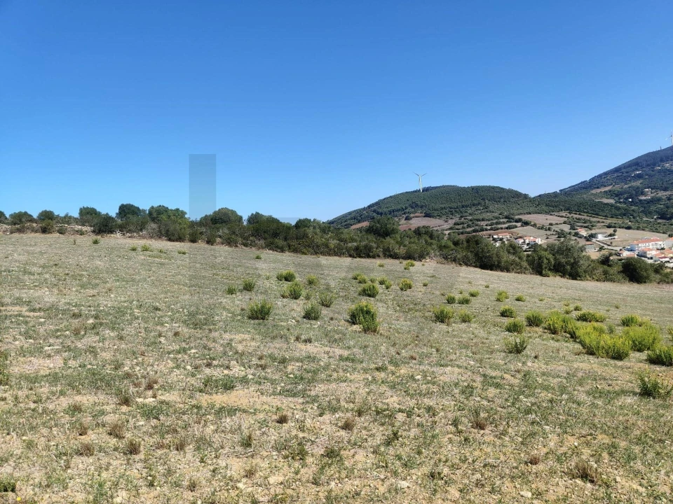 Terreno para Venda em Igreja Nova e Cheleiros Foto 10