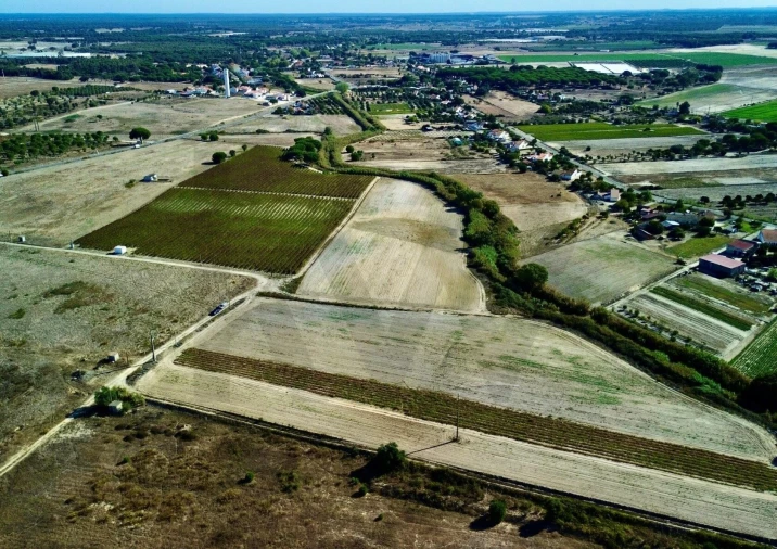 Terreno para Venda em Pegões Foto 2
