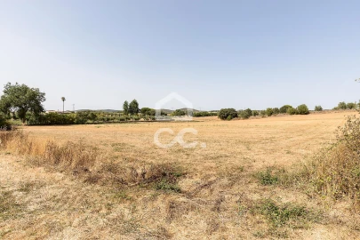 Quinta T2 para Venda em Ameixial (Santa Vitória e São Bento)