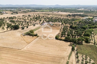 Quinta T2 para Venda em Ameixial (Santa Vitória e São Bento)