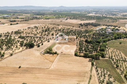 Quinta T2 para Venda em Ameixial (Santa Vitória e São Bento)