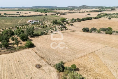 Quinta T2 para Venda em Ameixial (Santa Vitória e São Bento)