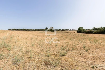 Quinta T2 para Venda em Ameixial (Santa Vitória e São Bento)