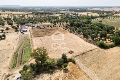 Quinta T2 para Venda em Ameixial (Santa Vitória e São Bento)