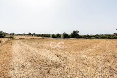 Quinta T2 para Venda em Ameixial (Santa Vitória e São Bento)