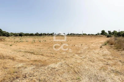 Quinta T2 para Venda em Ameixial (Santa Vitória e São Bento)