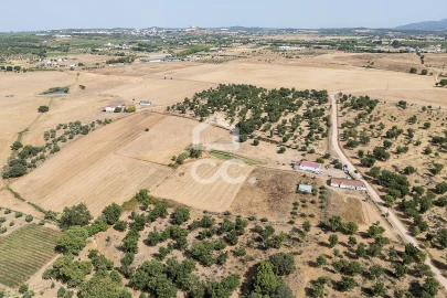 Quinta T2 para Venda em Ameixial (Santa Vitória e São Bento)